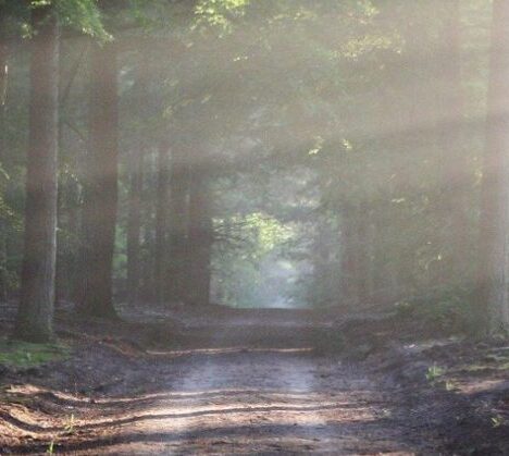 Camino Primitivo – Tag 2